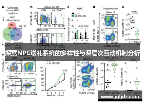 探索NPC送礼系统的多样性与深层次互动机制分析